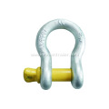 Large Bow Shackle For Trailers